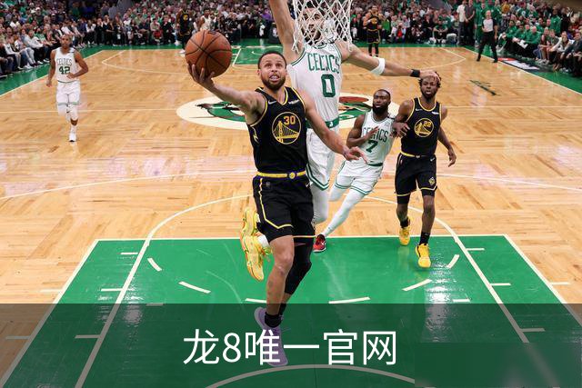 龙8唯一官网 公司简介